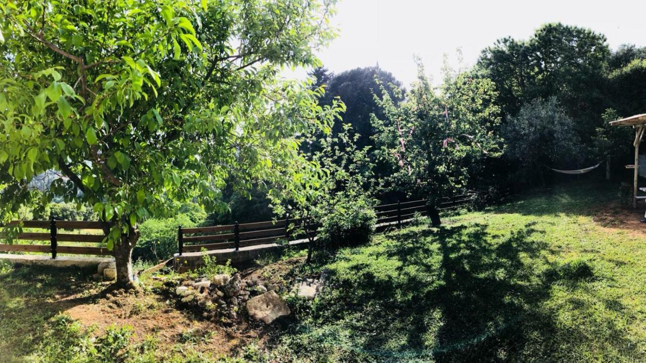 Chez Nikos Villa Kompítsion Exteriör bild