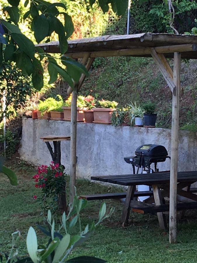 Chez Nikos Villa Kompítsion Exteriör bild